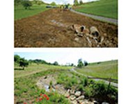 Surface requise pour la conservation de la biodiversité et des services écosystémiques en Suisse