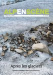 Alpenscène n° 112 - Après les glaciers