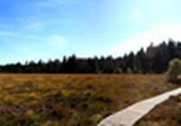 Contribution de CIPRA France au plan national de restauration de la nature