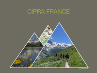 Rapport d'activité 2024