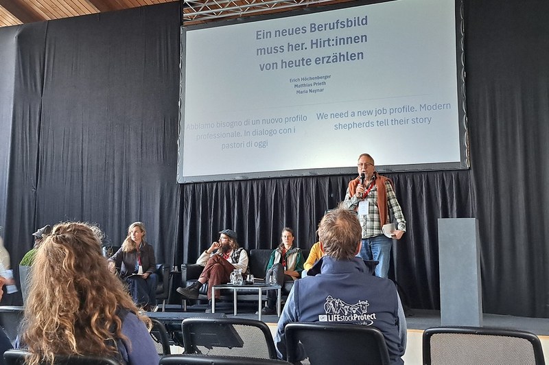 Dnevi zaščite čred v Salernu oktobra 2024.