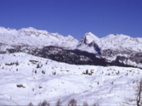 Javna predstavitev pogledov NVO na predlog novega zakona o Triglavskem narodnem parku