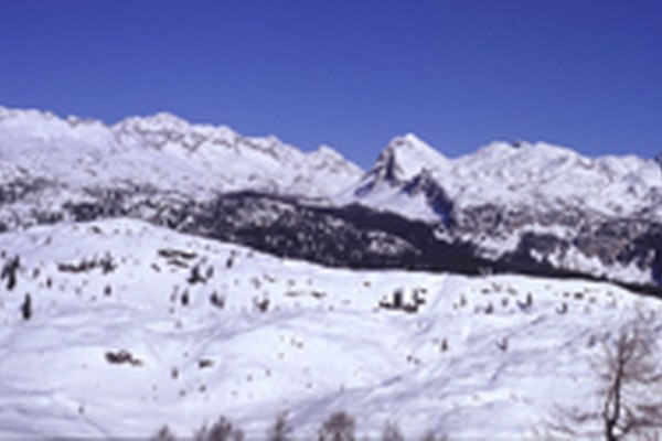 Javna predstavitev pogledov NVO na predlog novega zakona o Triglavskem narodnem parku