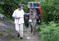 Ohranjanje tradicionalnih kulturnih rastlin in domačih živali