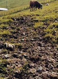 Mednarodna konferenca o erozijskih procesih