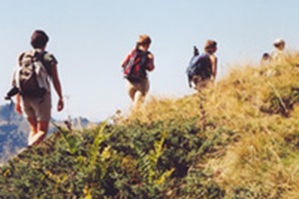 Via Alpina naj bi postala bolj znana