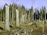 Avstrija: vzpostavitev sistema opozarjanja pred neurji