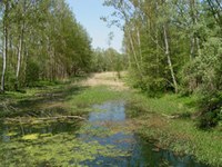 Slovenija načrtuje gradnjo verige elektrarn na Muri