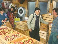 Evropa: zaskrbljenost zaradi ekološkega kmetovanja