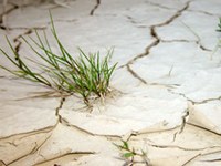 Pomanjkanje vode ima daljnosežne posledice