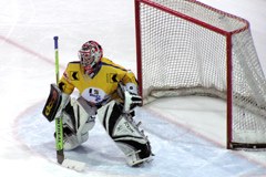 DS alpskih dežel ohranja športni duh