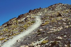 Po trnovi poti do trajnostnega turizma v Alpah