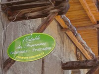 Od globalizacije k regionalizaciji