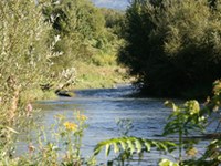 Počasno uresničevanje akcijskega načrta Alpske konvencije za omilitev podnebnih sprememb