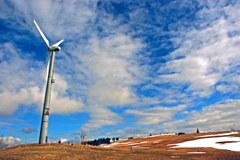 Slovenija: raba vetrne energije in varstvo ptic