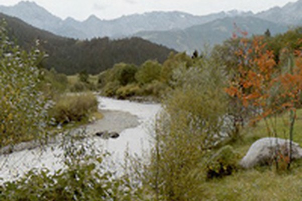 Udeležba javnosti pri pripravi avstrijskega načrta za gospodarjenje s povodji