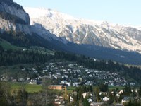 Vprašanje energije kot osrednja točka konference DS alpskih dežel