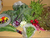 Ekološki proizvodi: veliko povpraševanje, a regionalna ponudba ne zadostuje