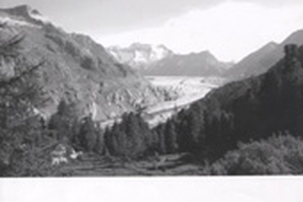 eco.mont - nova revija za raziskovanje zavarovanih območij