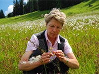 Več kot 500 kmetov opazuje rastline