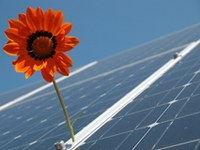 Občine ustvarjamo klimo - varstvo podnebja pod drobnogledom