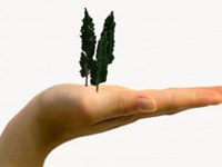 Zgledno ravnanje Graubündna na področju varstva narave