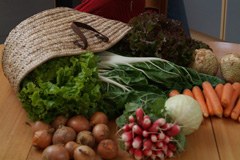 Zavzemanje Sonthofna/D za pravično trgovino in podnebje