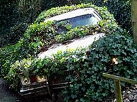 Spletne strani, zanimive za občine