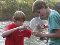 Delovna skupnost alpskih dežel spodbuja mlade: Move it!