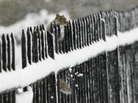 Natečaj ECONNECT: fotografije premagujejo meje