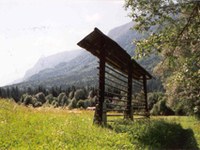 Kranjska Gora/SI: Na mesta, pripravljeni, zelena!