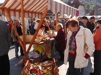 Letno poročilo 2011: "Tako bomo nadaljevali tudi v prihodnje!"