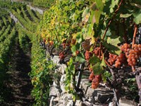 Sondrio in CIPRA praznujeta skupaj