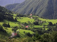 Upravljanje vasi čadrg:  vse na "štuporamo"