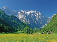 Logarska dolina: pametno varstvo narave