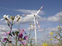 Projekt recharge.green: povezati energijo z naravo