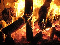 "Avstrija mora premisliti uporabo biomase!"