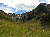 Belka bo lahko spet gnezdila