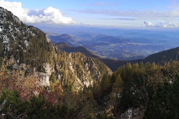 Posvet: Funkcije gozdov z vidika podnebnih sprememb
