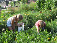 Kaj vse zmore varstvo narave