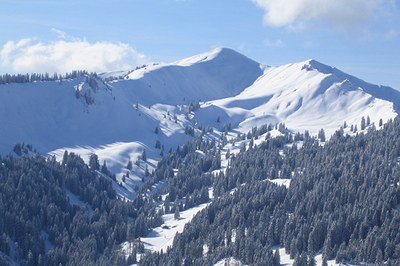 Kanibalizacija turizma