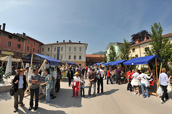 Ko mestna miš sreča podeželsko: povezani smo močnejši