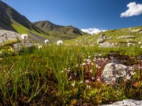 Malo koristnega, veliko uničenega: kritičen pogled na gradnjo hidroelektrarne v dolini Kaunertal