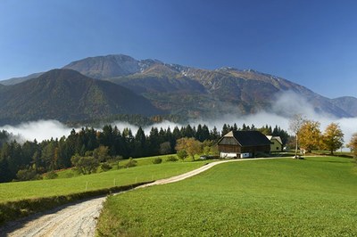 Perspektive za mlade