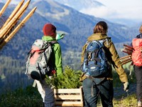 Podnebna kriza: Rešitve iz narave