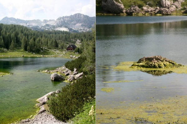 Problematika Dvojnega jezera