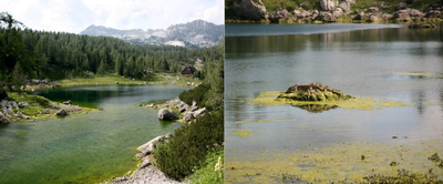 Problematika Dvojnega jezera