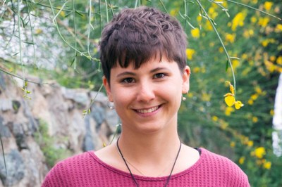 Stališče: Alpe niso neskončen vir energije!