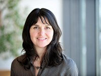 Stališče: Dileme turizma