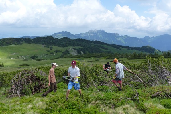 Udeležba državljanov pri preprečevanju pozidave zemljišč